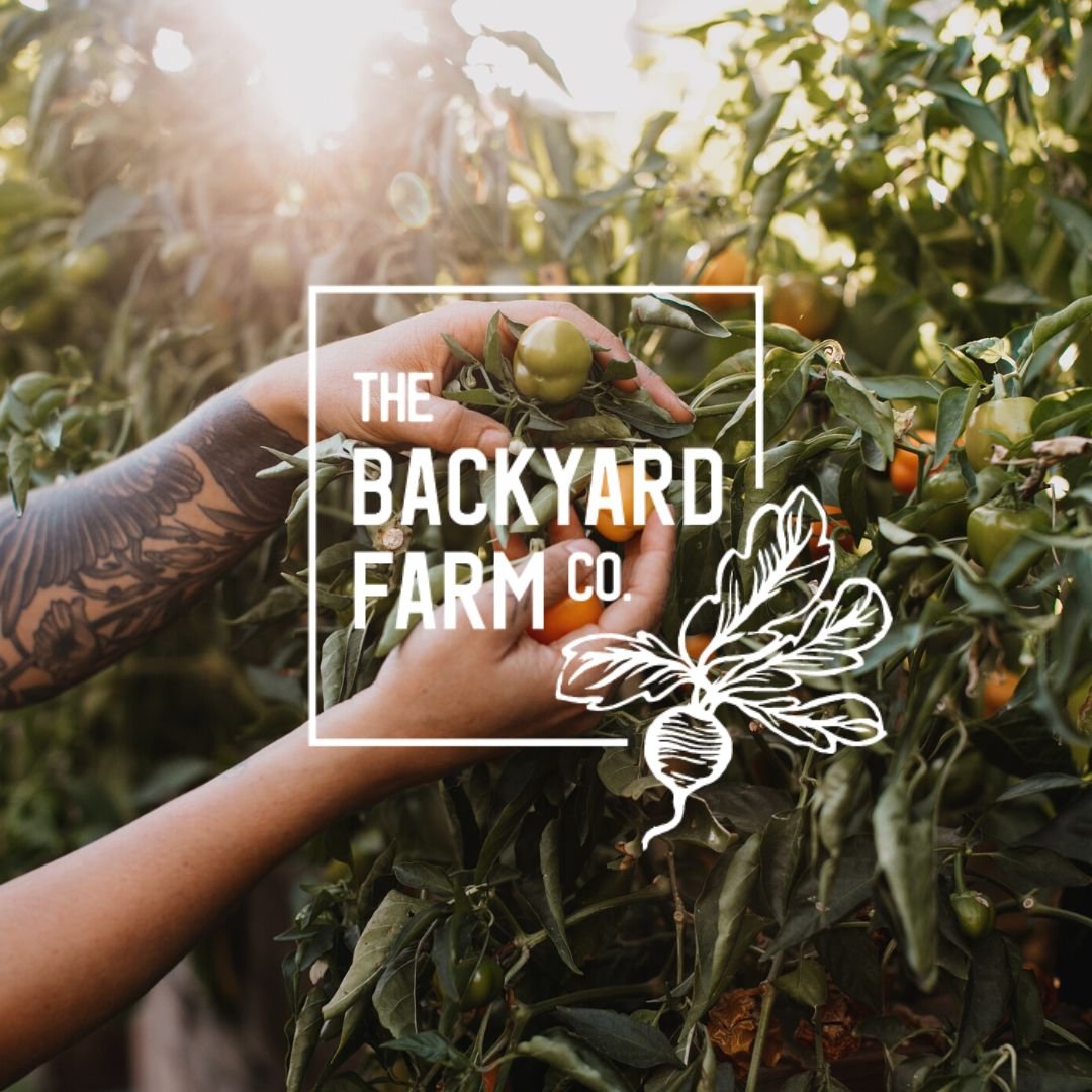 Vegetable Garden Inspiration - Our Portfolio - The Backyard Farm